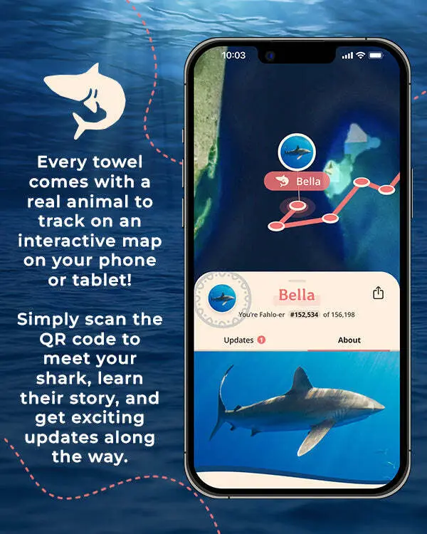 Voyage Shark - Large - Fahlo | Sand Cloud - Image 2
